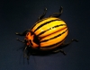 Beetle Sculpture