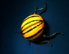 Beetle Sculpture